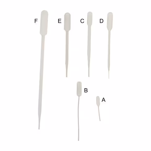 Pipette Pasteur sans gradué en plastique non stérile vol 5 ml longueur 155 mm x 500