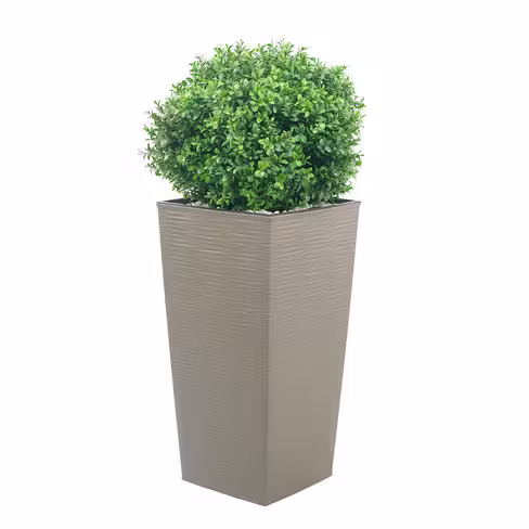 Jardinière polypropylène - l. 30 x h. 57 x pr. 30 cm - avec plante Buis h. 35 cm