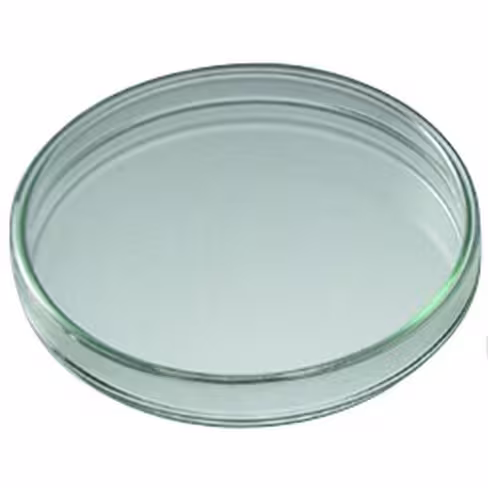 Boîte de Pétri en verre neutre 60 x 12 mm x 18