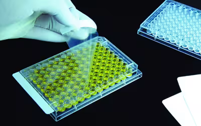 Film polyester pour elisa non stérile x 100