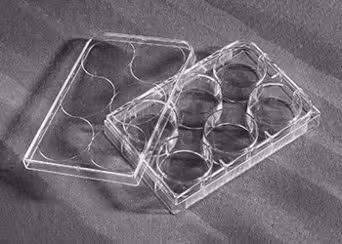 Plaque traitée culture cellulaire 6 Puits fond plat PS stérile emballage individuel avec couvercle x 50