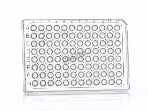 Plaque 96 PCR framestar demi-jupe puits transparents cadre transparent Abi x 50