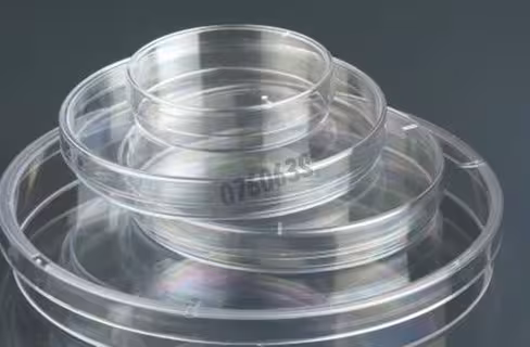Boîte de Pétri 120 x 120 mm avec 4 ergots s/10 stérile CLEARLINE x 240