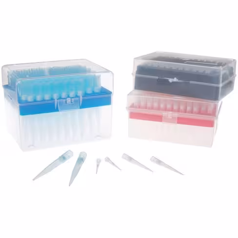 Pointe 10 µL en vrac x 1000