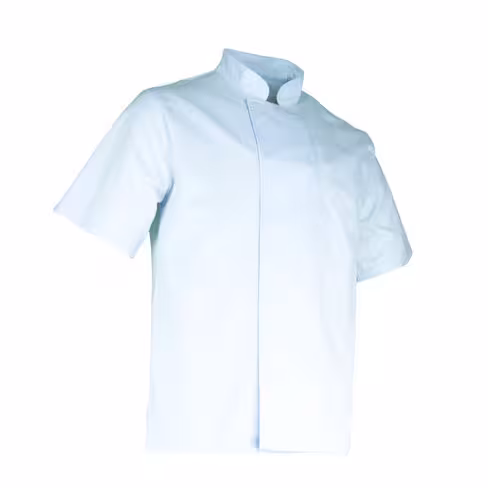 Veste de cuisinier mixte manches courtes - Aubergine - Lebeurre - polycoton - 245 g/m2 - blanc