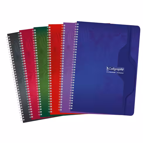 Cahier à spirale A4 Caligraphe - 21 x 29,7 cm - 100 pages 70 g réglure 5 x 5