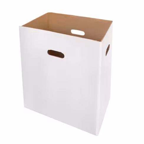 Boite en carton pour destructeur HSM SECURIO P44i A l'unité