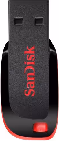 Clé USB 2.0 SanDisk Cruzer Blade rétractable SDCZ50-128G-B35 128 Go - USB Type-A